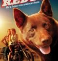 Red Dog 2011