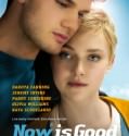 Now Is Good (2012)
