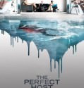 The Perfect Host (2010)