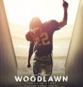 Woodlawn (2015)