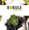 Grapes / Bobule (2008)
