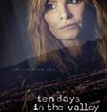 Ten Days in the Valley (2017-)
