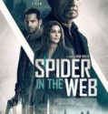 SPIDER IN THE WEB (2019)