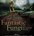 FANTASTIC FUNGI (2019)