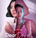 DEAR DAVID (2023)